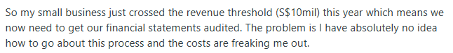 An entrepreneur of a Singapore company struggle with ACRA’s audit requirements