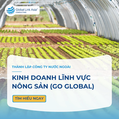 Thành lập công ty nước ngoài để kinh doanh lĩnh vực nông sản (Hướng dẫn từ chuyên gia)