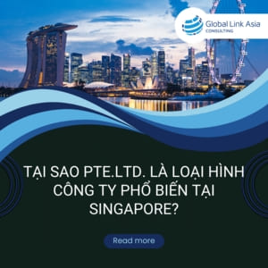 Tại sao Pte. Ltd. là loại hình công ty phổ biến tại Singapore?