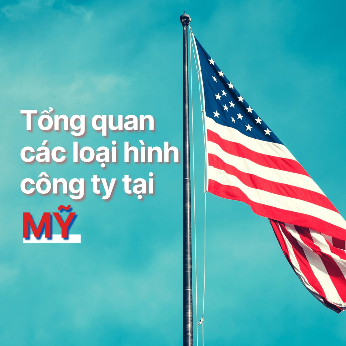 Tổng quan về thuế thu nhập doanh nghiệp Mỹ công ty cần nắm